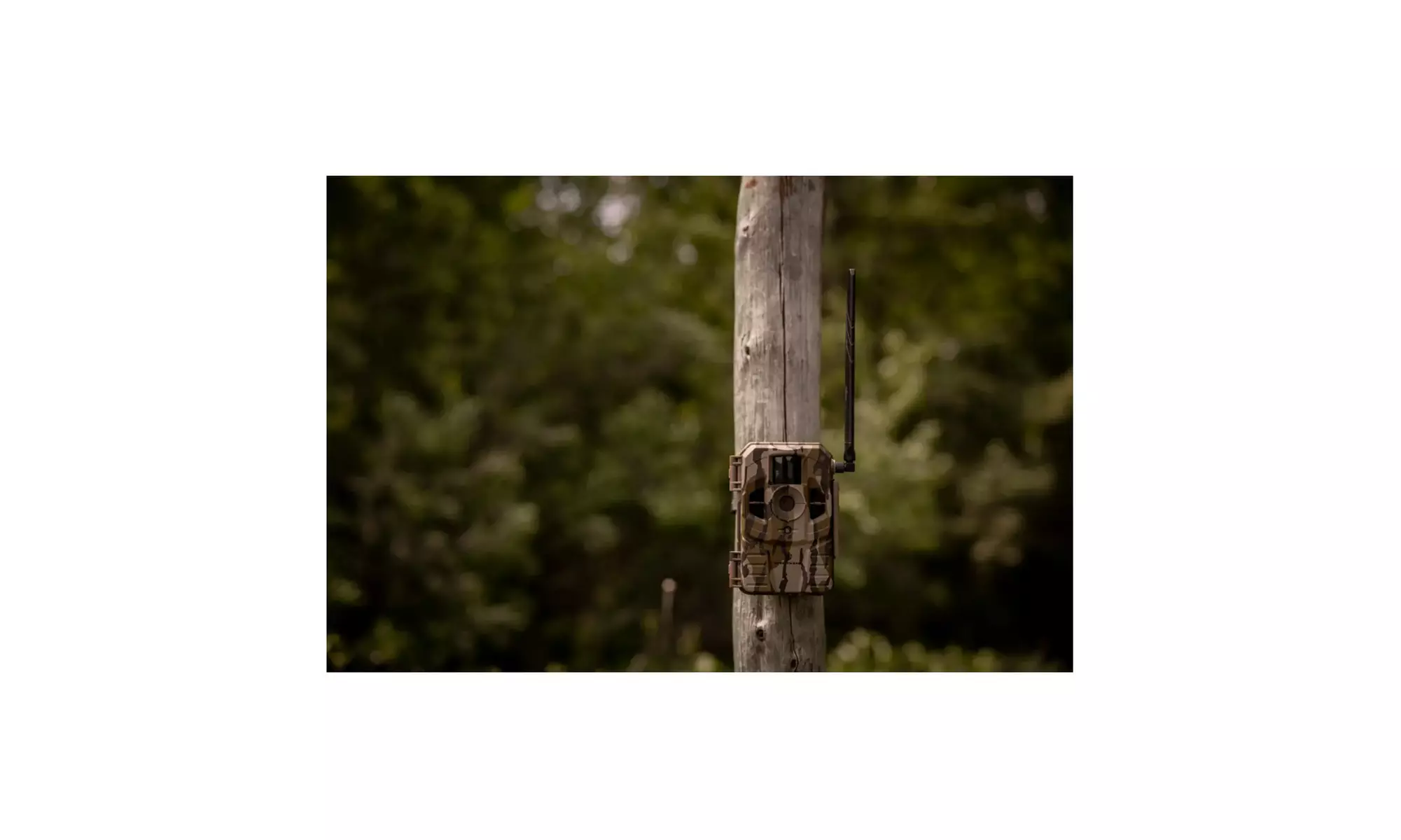 Stealth Cam Connect Cellular Trail Camera (ATT, 10-Pack) Bundle - Second Medium