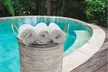 Wring Dry Soft and Absorbent Disposable 30"x60" Towels (3- or 6-Pack) - Second Medium