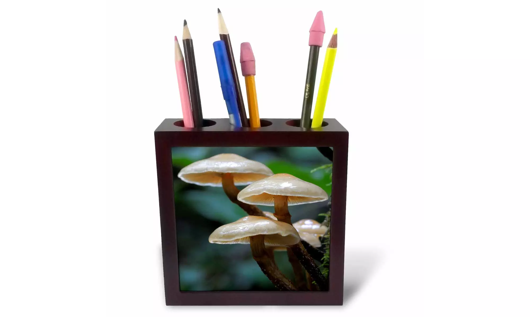  Tile Pen Holder - Canada, Vancouver. Small brown mushrooms - 5-inches  - Primary Image
