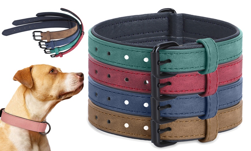 Groupon personalized shop dog collar