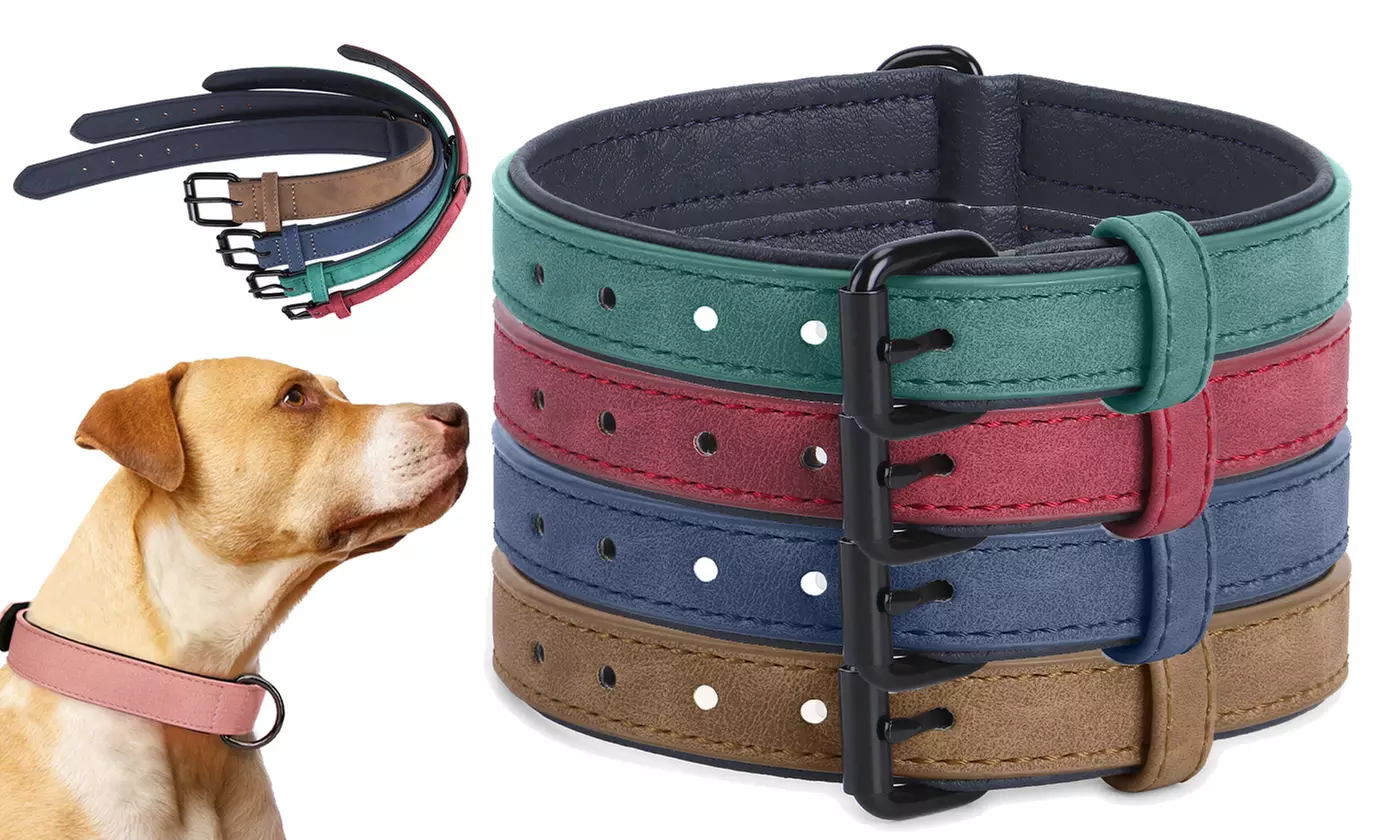Heavy Duty PU Leather D-Ring Dog Collar for Small Medium Large Dogs - Primary Image
