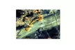 PIPA Fine Art 'Aged Mushroom' Canvas Art - Second Medium