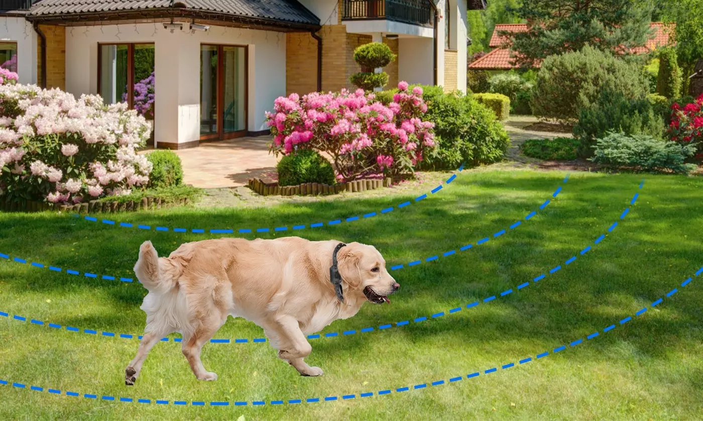 iMounTEK Wireless Electric Dog Fence System with Tone and Shock Containment