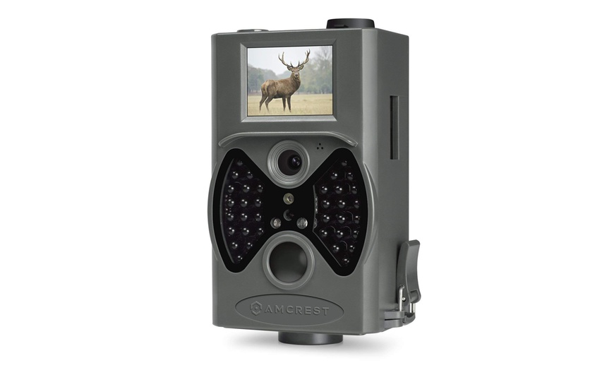 amcrest trail camera