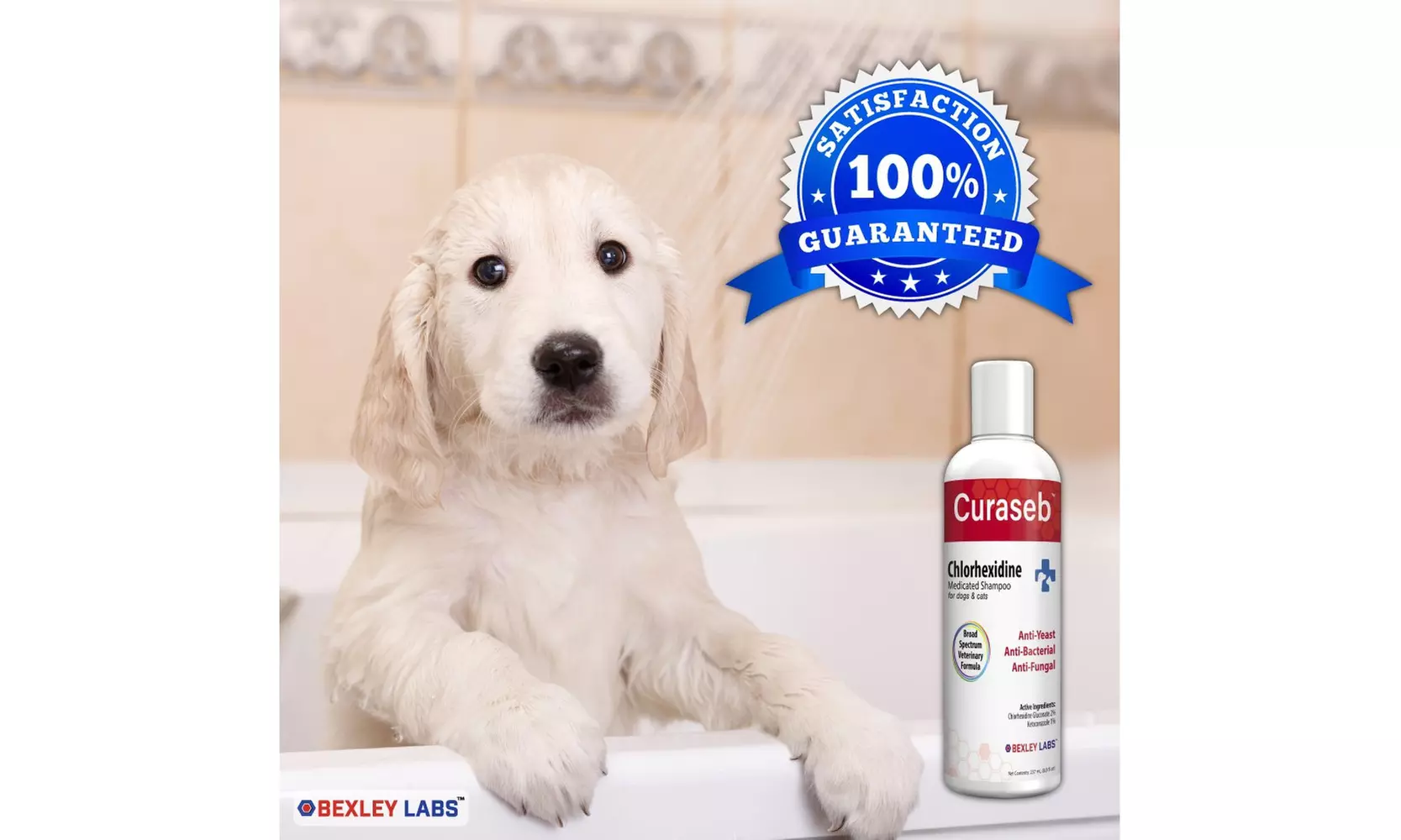 Curaseb Antifungal & Anti-Yeast Chlorhexidine Medicated Shampoo for Dog & Cats - Second Medium