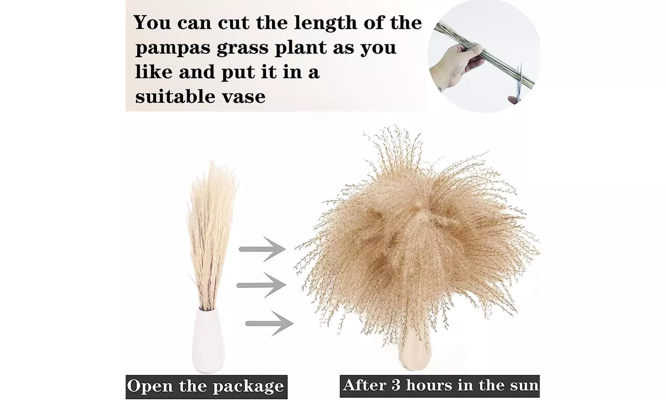 100 Pcs 17 inch Natural Dried Pampas Grass Boho Home Decor
