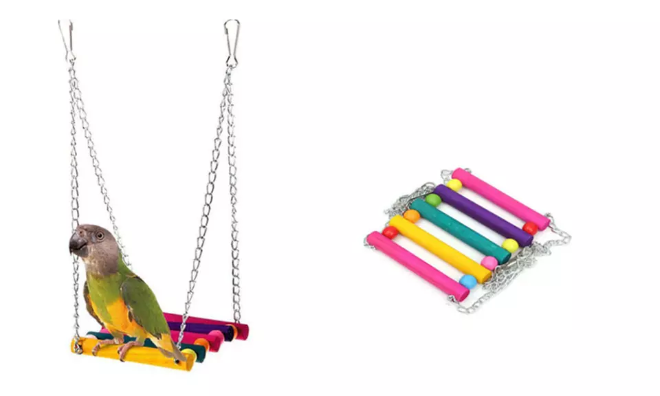 New Bird Swing Ideal Place Designed For Your Little Friends - Primary Image