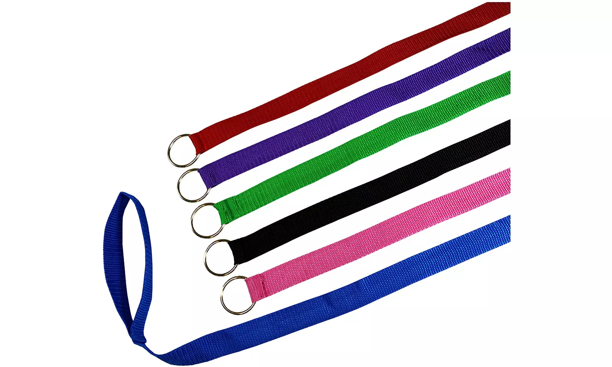 Downtown Pet Supply 6 Foot Slip Lead, Slip Leads, Bulk Dog Leashes with O Ring - Primary Image