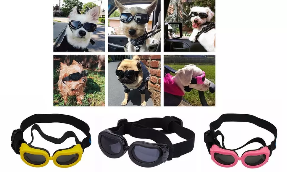 Small Pubby Dogs Sunglasses UV Protection Goggles Eye Wear Protection - Primary Image