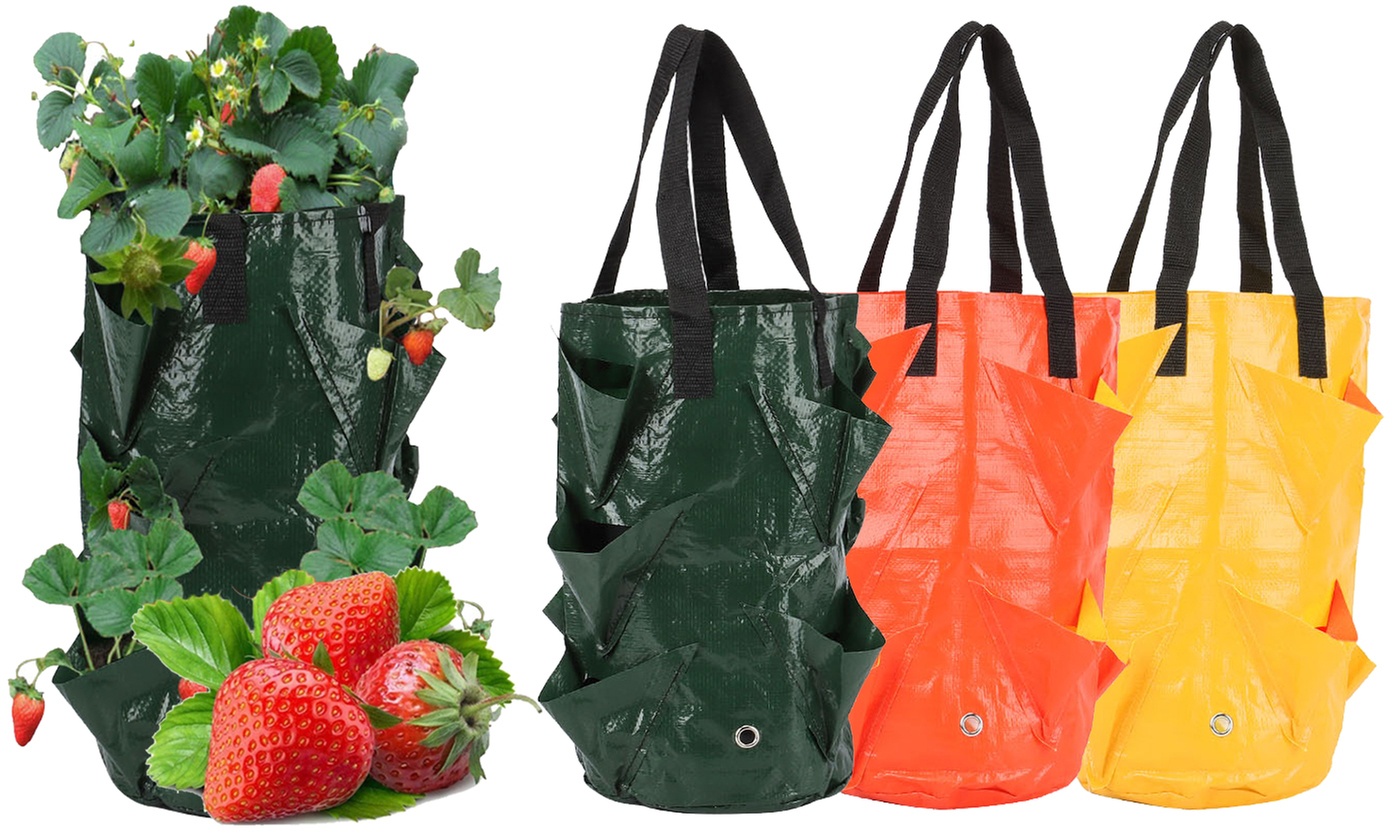 3 Gallon Strawberry Grow Bag Strawberry Plant Bag with 8 Side Planting Pockets