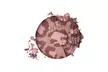 The Lano Company Leopard Cream Natural Glow Bronzer - Second Medium