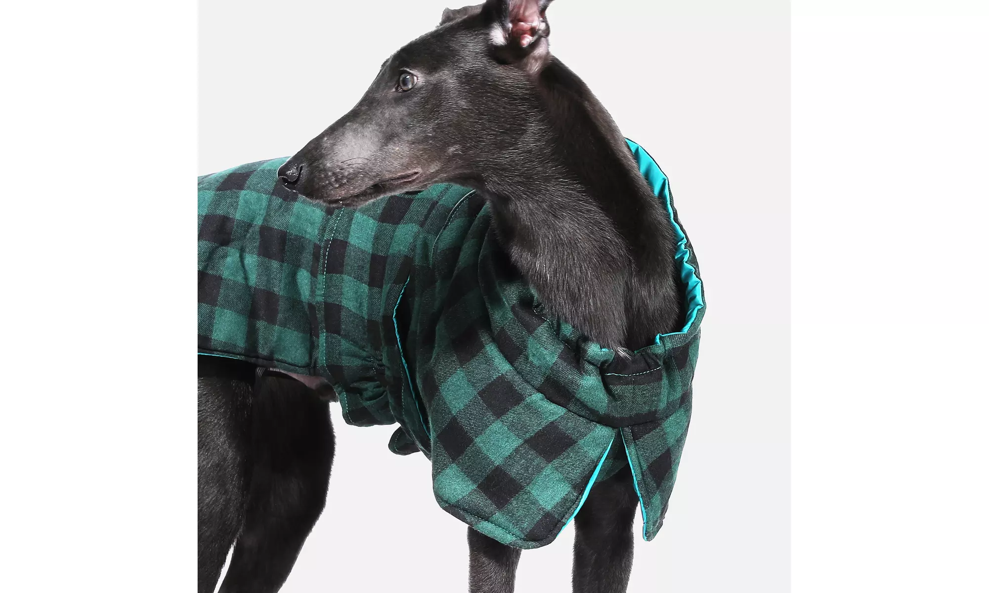 Water-Repellent Reversible Dog Winter Coat with Warm Secure Belt