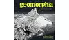 Geomorphia: An Extreme Coloring and Search Challenge