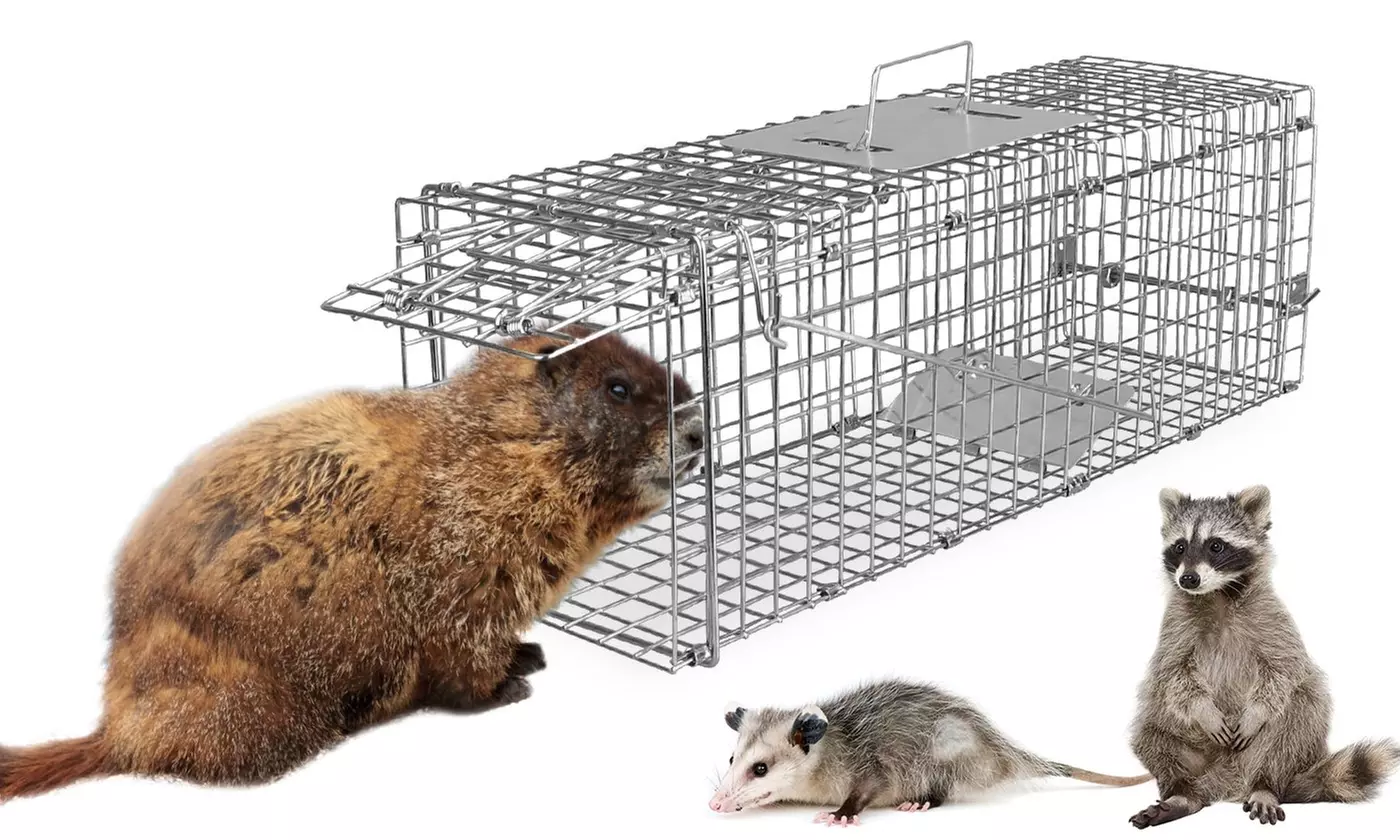 iMounTEK 2-Door Humane Live Small Animal Trap Catch & Release Rodent Cage Trap - Primary Image