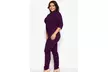 Eggplant Color Classic Tapered  Pant Suit Set - Second Medium