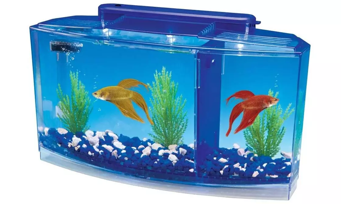 Deluxe Triple Betta Bow Aquarium Tank, 0.7-Gallon - Primary Image