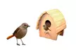 Wooden Birdhouse Garden Outdoor Decor Bird Cages Houses Paint Yourself - Second Medium