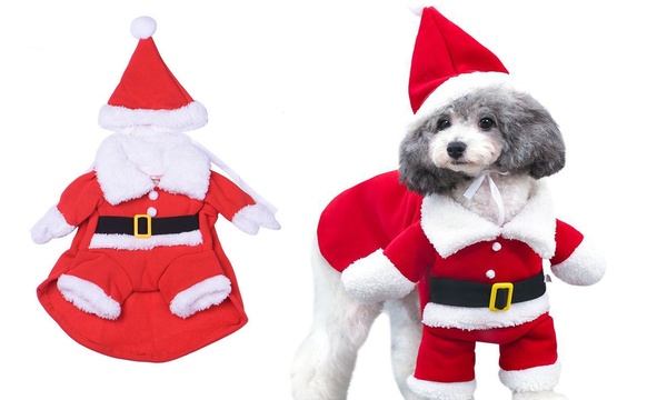 Dog in santa on sale suit