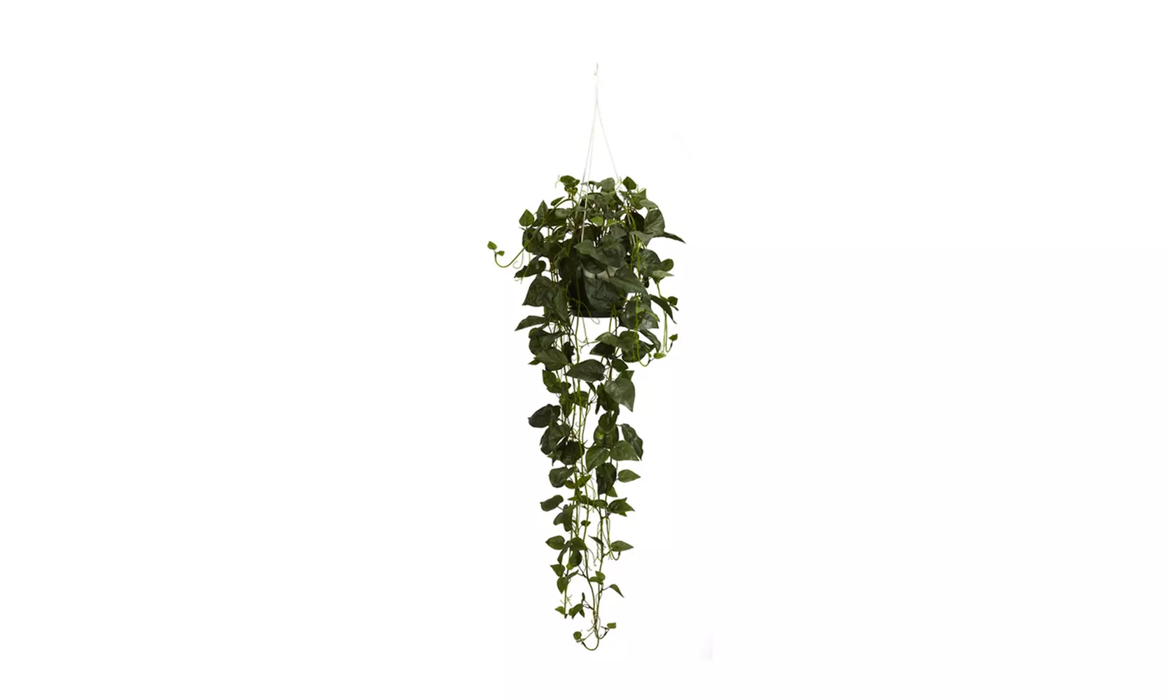 Nearly Natural Philodendron Hanging Basket Silk Plant Green - Primary Image