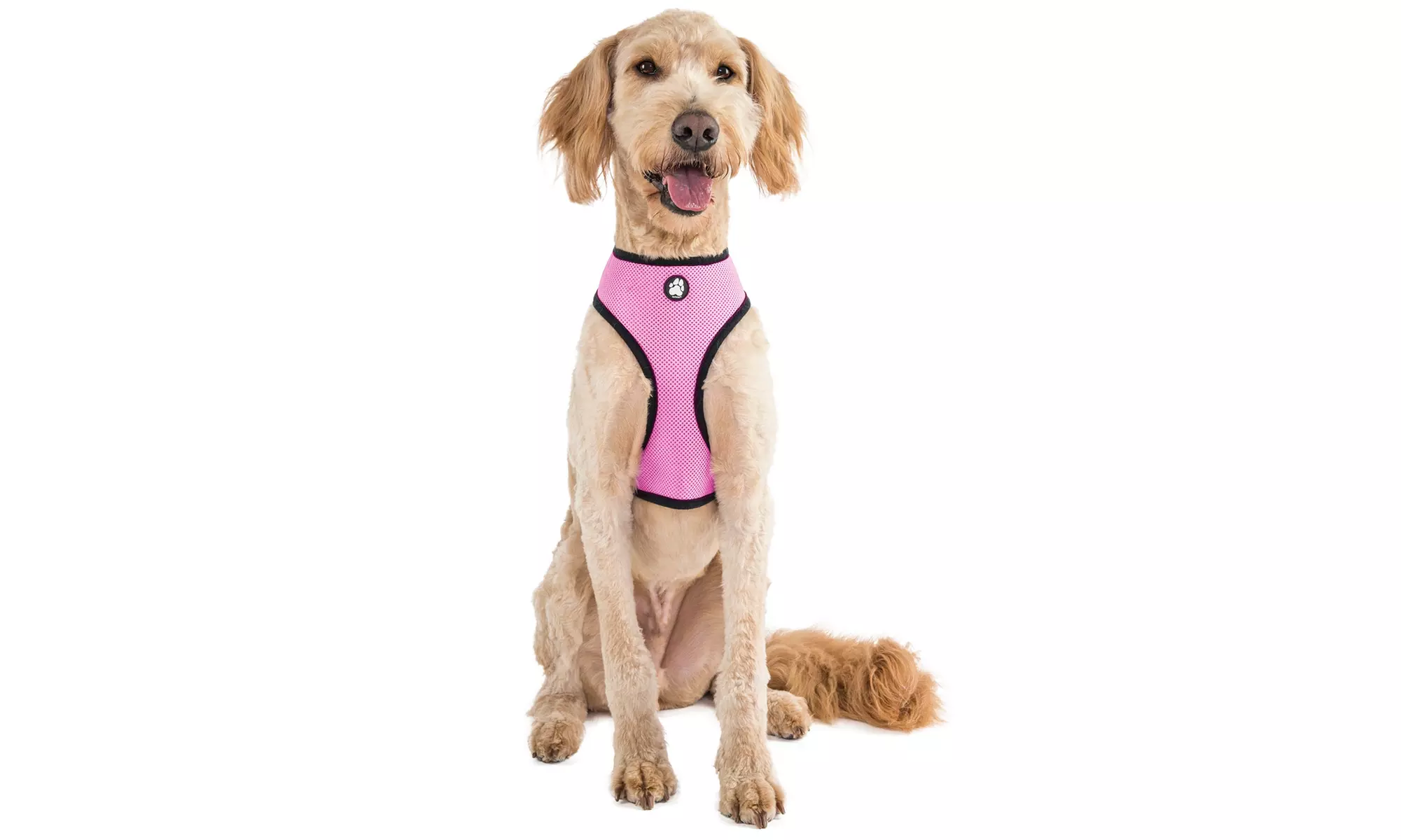 FurHaven Pet Easy Comfort Mesh Dog Harness