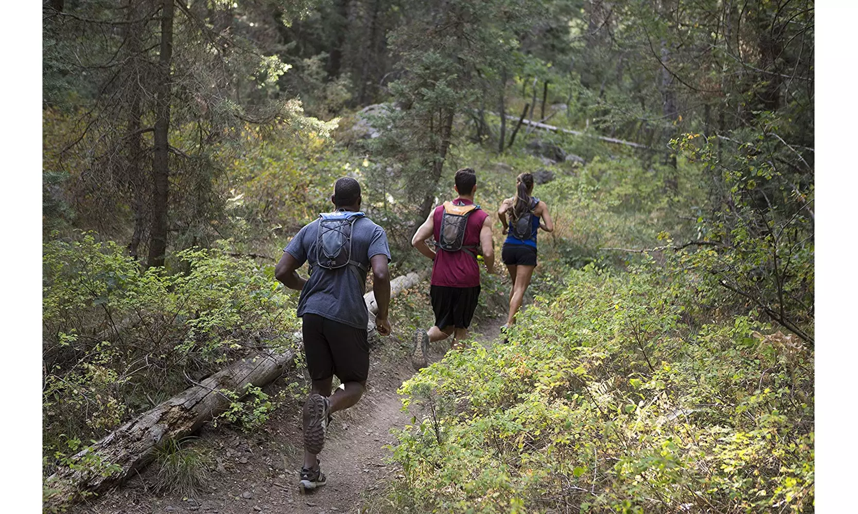 TETON Sports TrailRunner 2.0 Hydration Pack - Primary Image