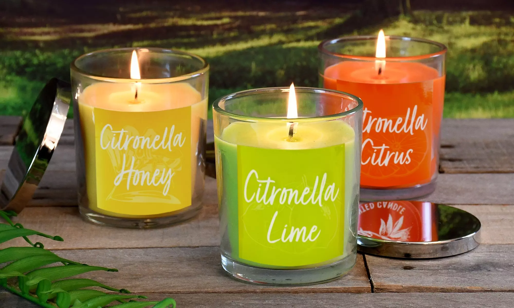 Citronella Scented Candle Collection - Set of 3