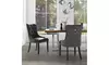 Harry Leather PU / Velvet Dining Chair - Set of 2 by Inspired Home