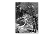 Nick Bantock 'Dodgers Dream' Canvas Art - Second Medium