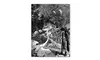 Nick Bantock 'Dodgers Dream' Canvas Art