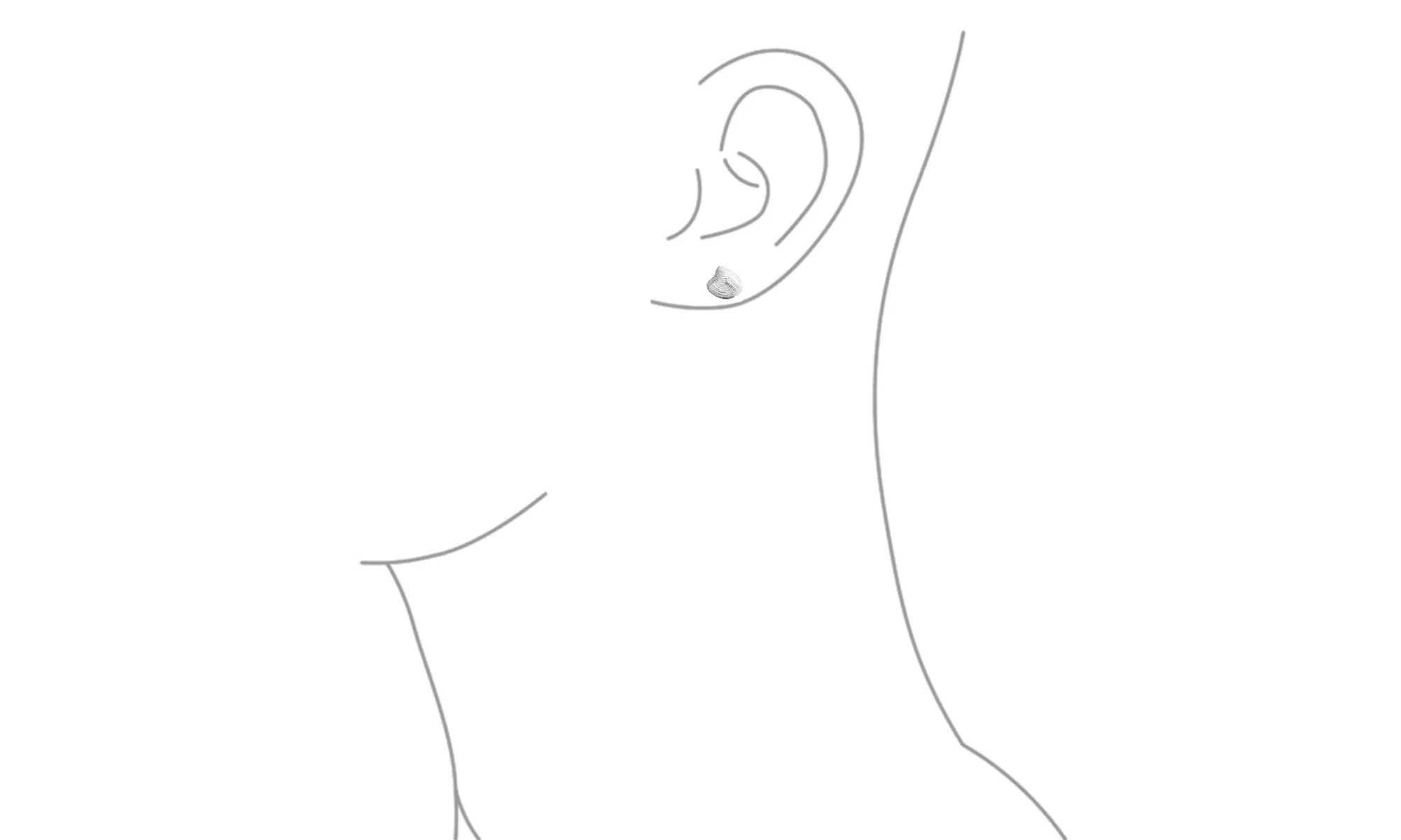 Nautical Beach Clam Shell Seashell Stud Earrings Gold Plated Silver - Second Medium