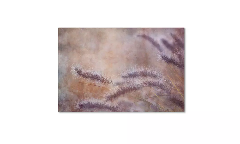 Cora Niele 'Dew Fox Tail Grass' Canvas Art - Primary Image