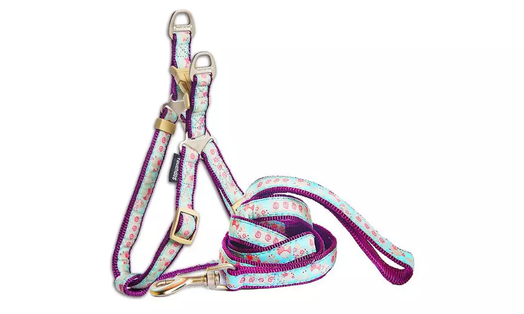 Touchdog 'Avery Patterned' Tough Stitched Dog Harness and Leash - Primary Image