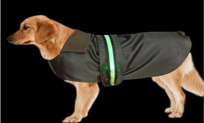 LED Dog Raincoat