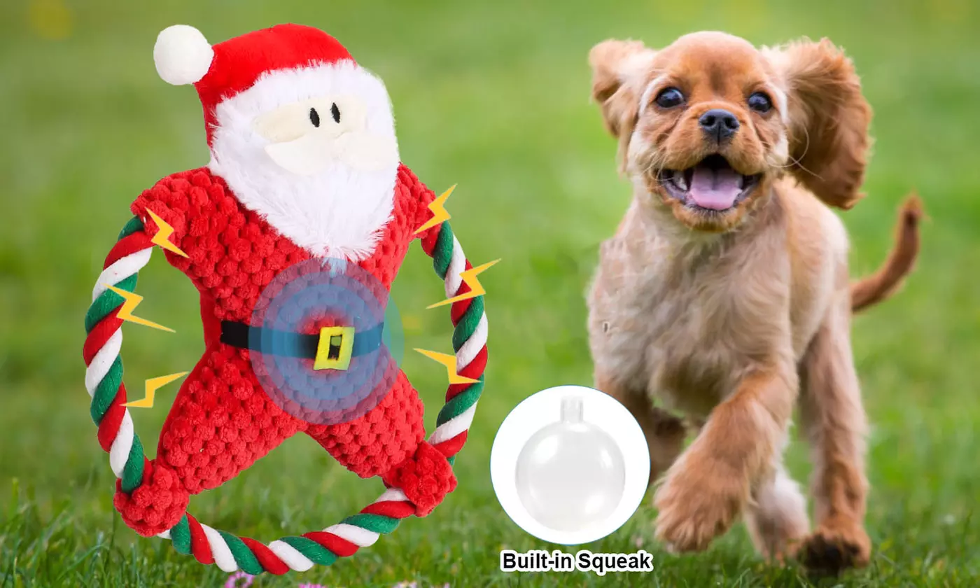 Christmas Santa Claus Rope Squeeky Interactive Plush Dog Toy