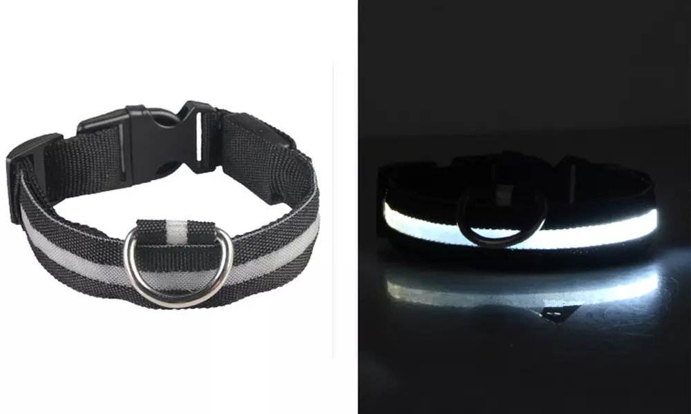 LED Dog Pet Light Up Night Glow Adjustable Safety Collar  Prevent The Lost - Primary Image