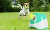 iMounTEK Automatic Dog Ball Launcher with 3 Distance Settings and 6 Tennis Balls