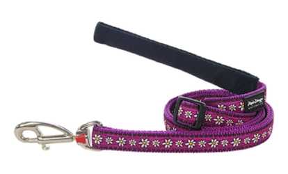 Red Dingo L6-DC-PU-SM Dog Lead Design Daisy Chain Purple