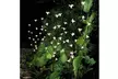 Stylish Branch Tree Twig Leaf Solar Outdoor Garden 60 Warm White LED Lights - Second Medium