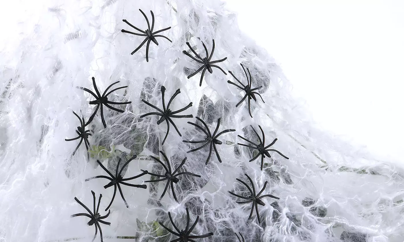 200g/300g Stretchable Halloween Spider Web and Spiders - 60 / 100 Spiders