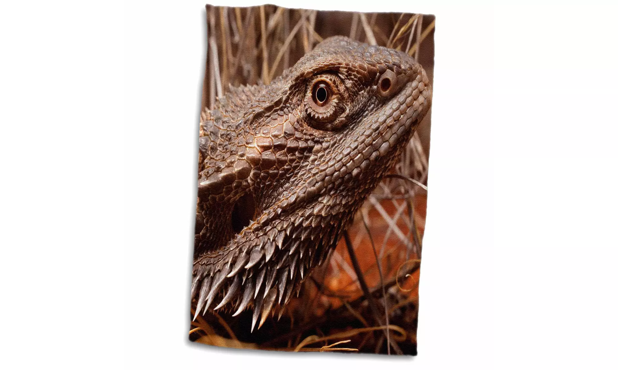 Towel - Australia, Central Bearded Dragon lizard, outback-AU01 PSO0064 - Paul  - Primary Image