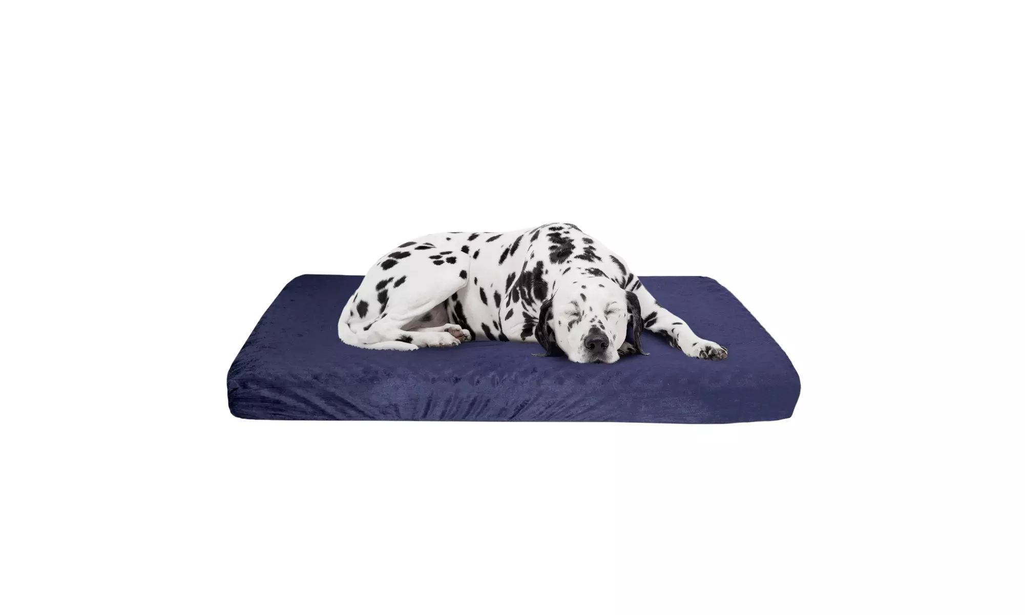 Memory Foam Dog Bed Blue 46 x 27 Orthopedic Dog Bed with Machine Washable Cover