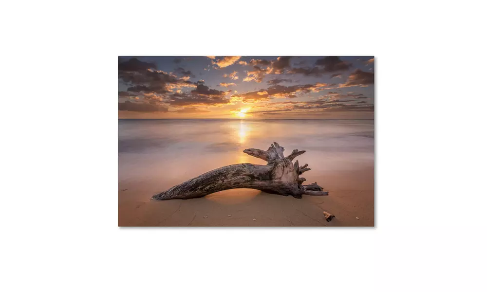 Pierre Leclerc 'Beach Tree Sunrise' Canvas Art - Second Medium