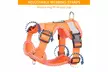 Soft Mesh Dog Harness Leash Set No-Chock Step-in Reflective Vest Harnesses - Second Medium