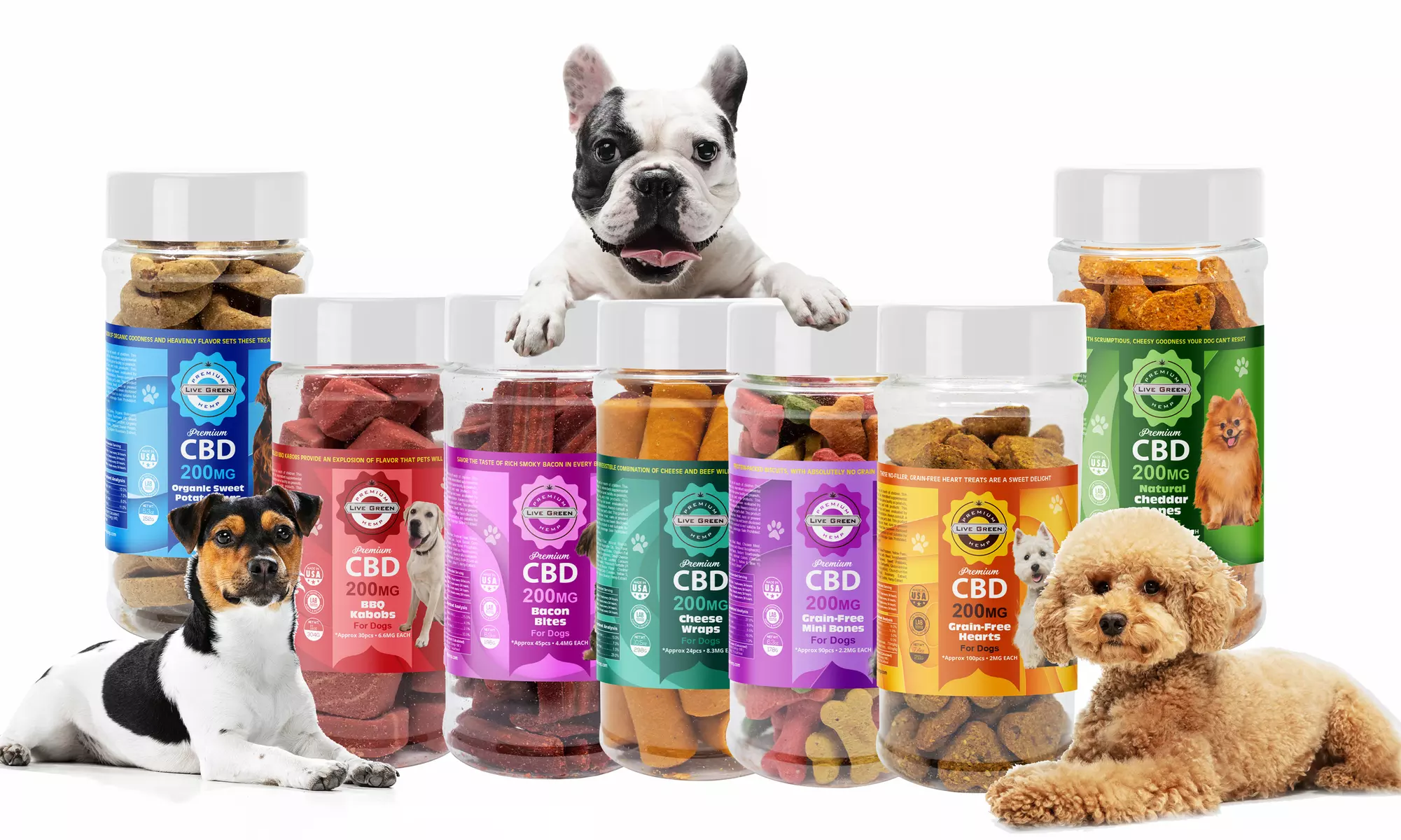 CBD Pet Treats Yummy and Mellow Comfort for Your PUP by Live Green Hemp - Primary Image