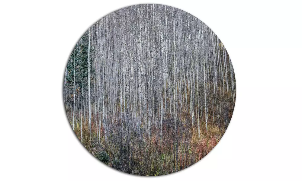 Maroon Bells Mountain View' Disc Forest Metal Circle Wall Arts - Second Medium