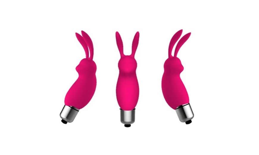 Mini Bullet Rabbit Vibrator For Clitoris And G Spot Stimulator Groupon