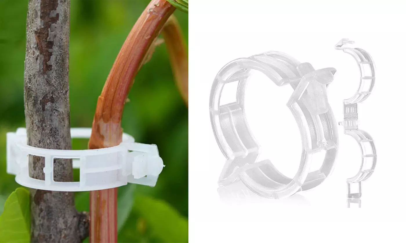 50/100Pcs Plant Support Clips for Garden Vine to Grow Upright