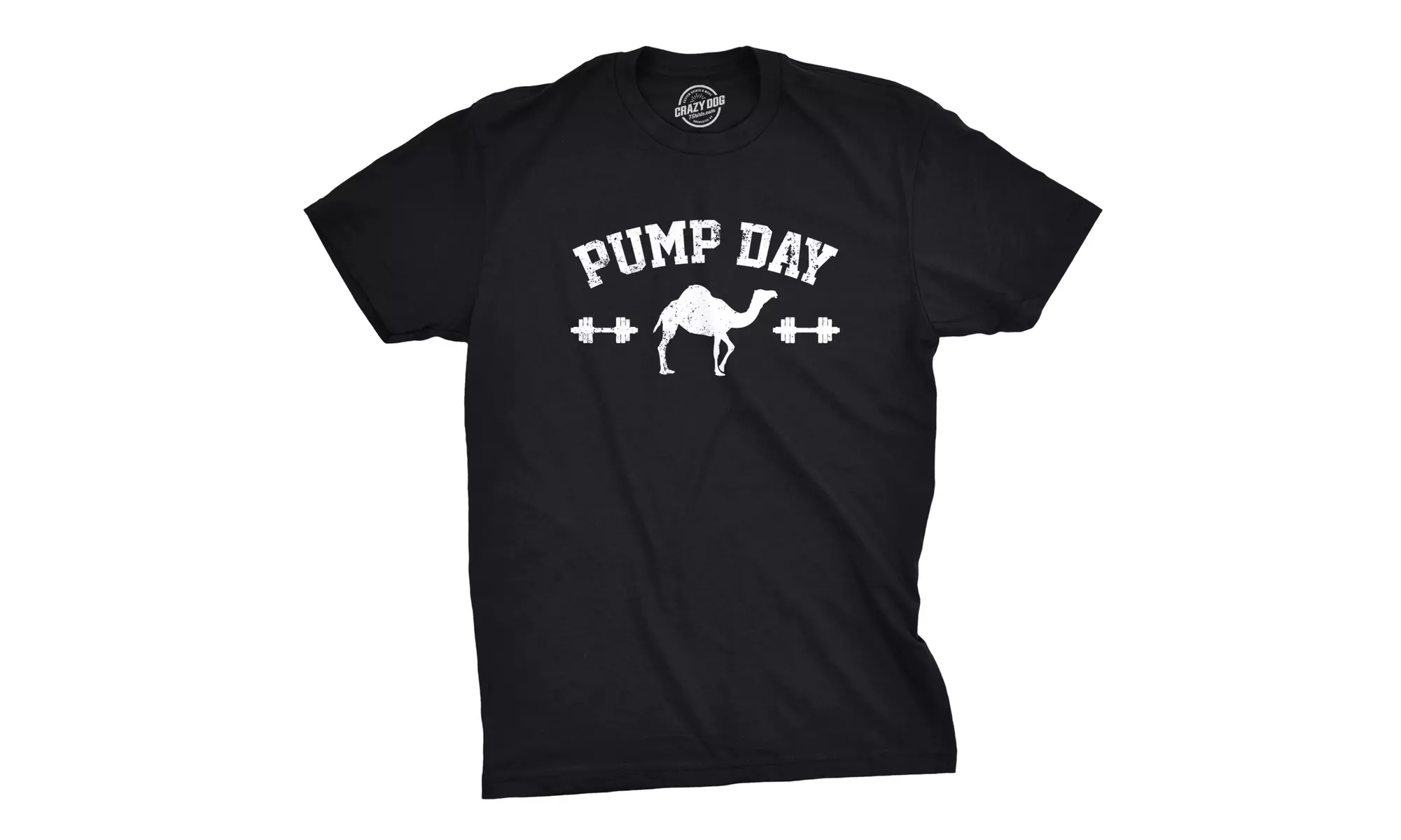 Mens Pump Day Funny Camel Hump Day Workout Fitness Gym Lifting T shirt - Primary Image