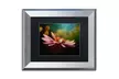 Lois Bryan 'The Secret World of Coneflowers' Matted Silver Framed Art - Second Medium