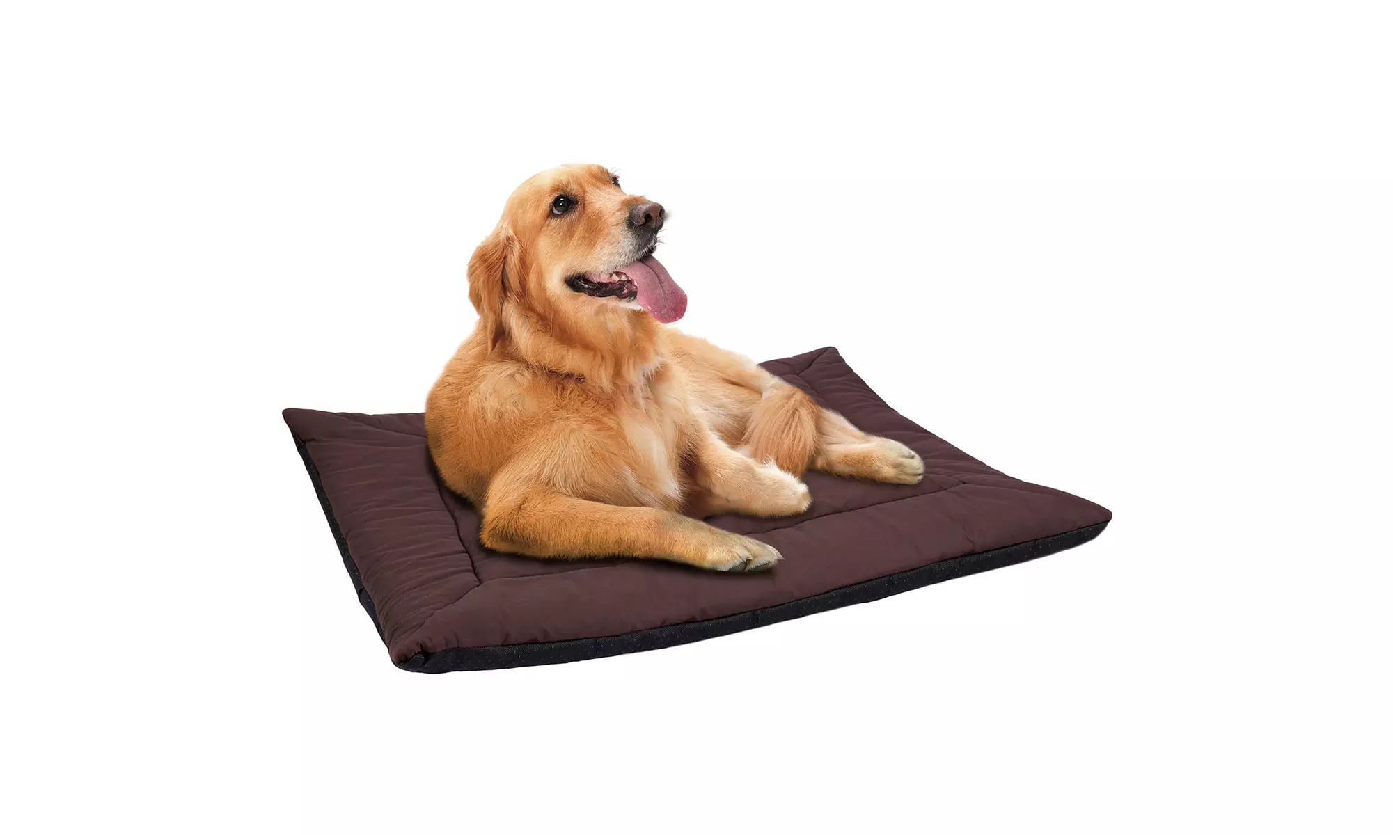 Paws & Pals Pet Bed Self-Warming Cushion Pad - Soft Cozy Mat for Dogs and Cats - Primary Image